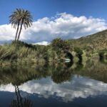 Fiume Temo_gita_barca_fiume_temoJPG