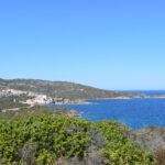 Asinara Cala d'Oliva