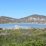 Asinara cala sant'andrea