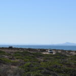 Asinara fuoristrada