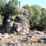 ORTACHIS_badde_salighesJPG