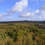 PANORAMA_cammino_santo