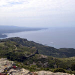 Panoramica osser_lungo_il_volo_grifoni