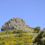 punta tribides_lungo_il_volo_grifoni