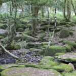 sentiero_badde_salighesJPG