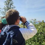 Grifoni osservazione 1