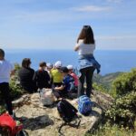 Grifoni osservazione