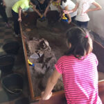 Scavo Archeologico (2)