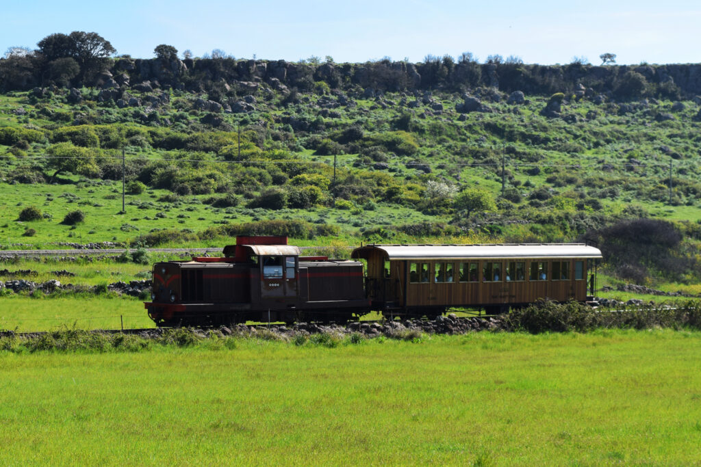 treno verde che attraversa la tratta macomer bosa