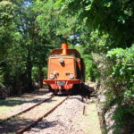 Trenino Verde Locomotore bosco 2