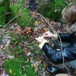 78952915_419014202340432_3133232522796728320_n