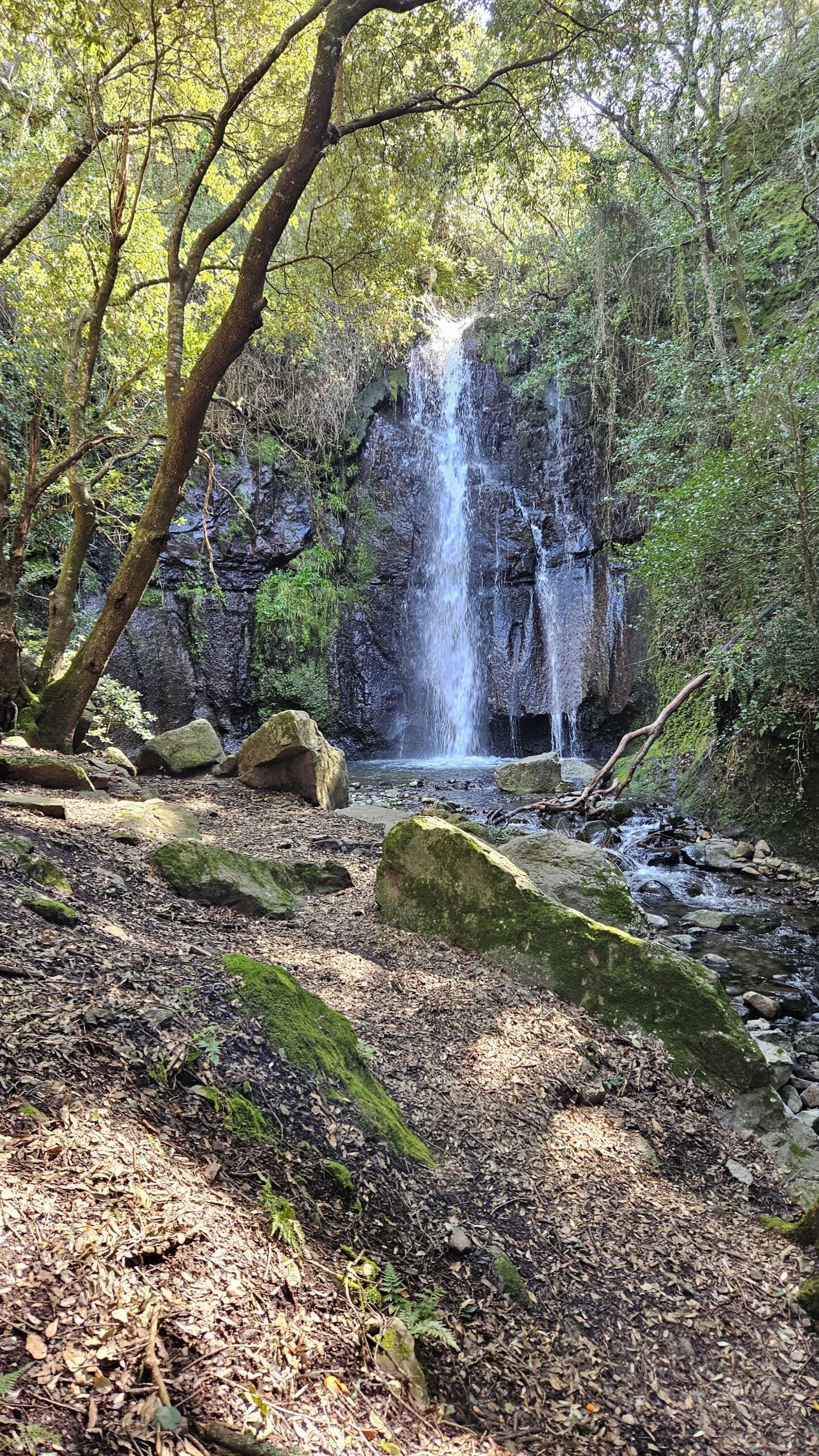 Escursioni primavera Sardegna - Esedra Escursioni