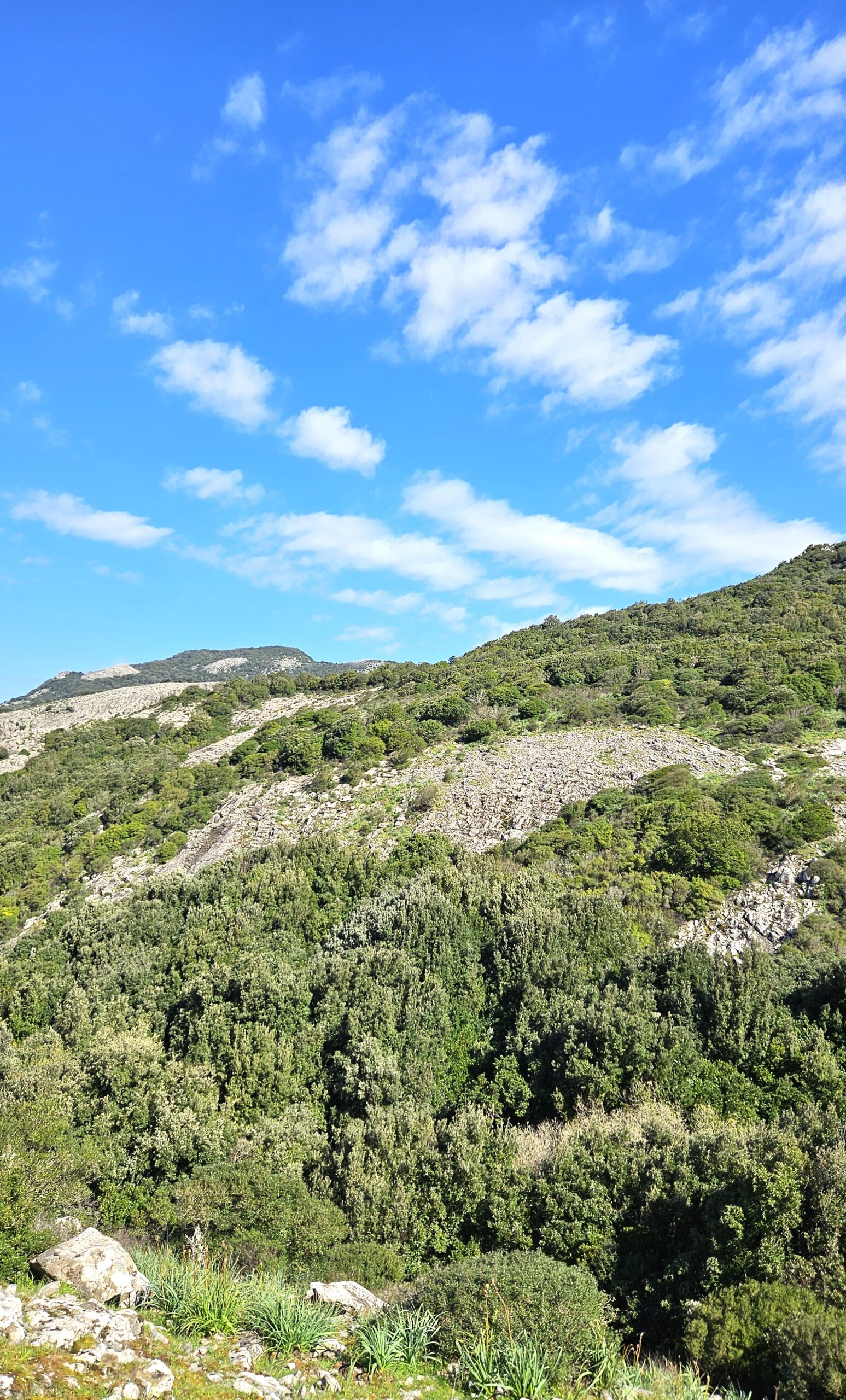 Escursioni primavera Sardegna - Esedra escursioni