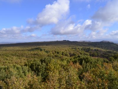 PANORAMA_cammino_santo