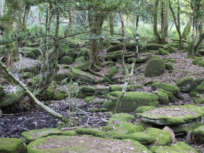 sentiero_badde_salighesJPG